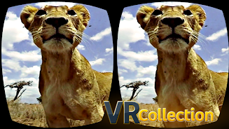 Pack of VR videos screenshot 3