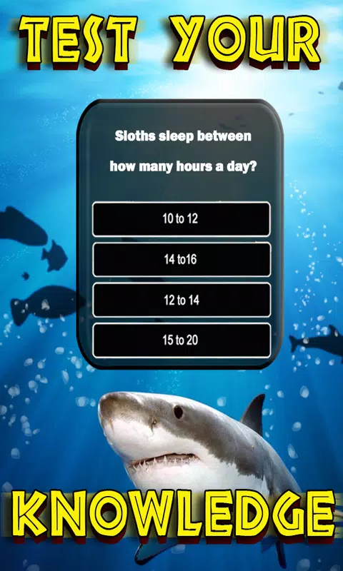 Animals Quiz ekran görüntüsü 2