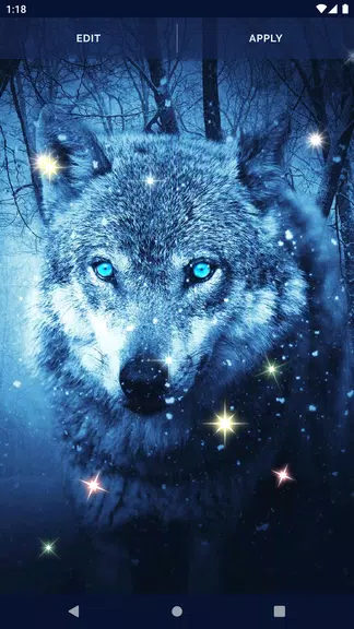 Night Wolf Live Wallpaper screenshot 4