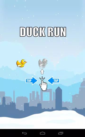 Duck Run zrzut ekranu 3