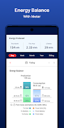 mySolarEdge ekran görüntüsü 3