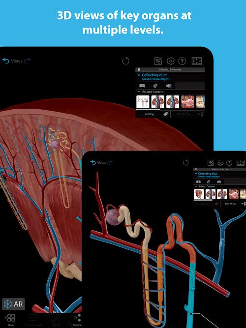 Human Anatomy Atlas 2023 ဖန်သားပြင်ဓာတ်ပုံ 3