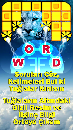 Word Fun Fact (WFF) Word Games ekran görüntüsü 3