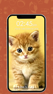 Kitty Cat Pin Lock Screen captura de pantalla 