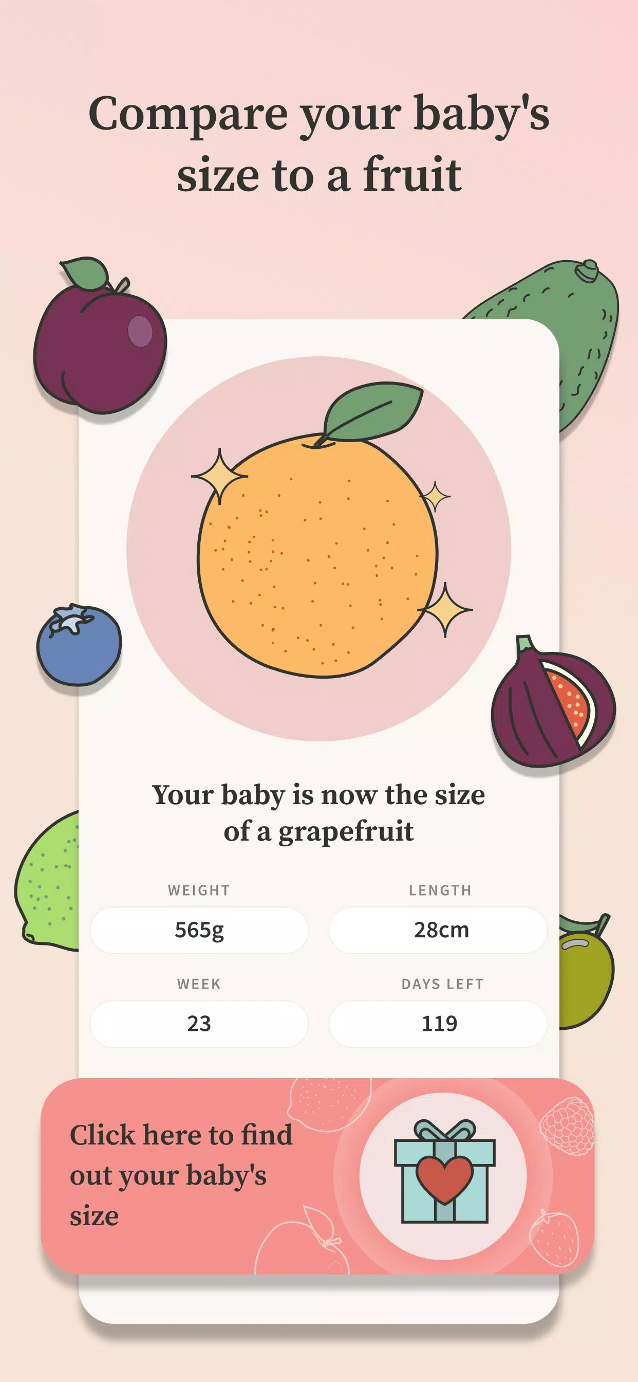 Preglife ဖန်သားပြင်ဓာတ်ပုံ 4