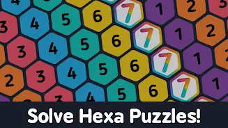 Make7 Hexa Puzzle应用截图第2张