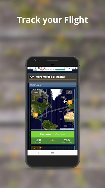 Detroit Metro Airport Flights Screenshot 4