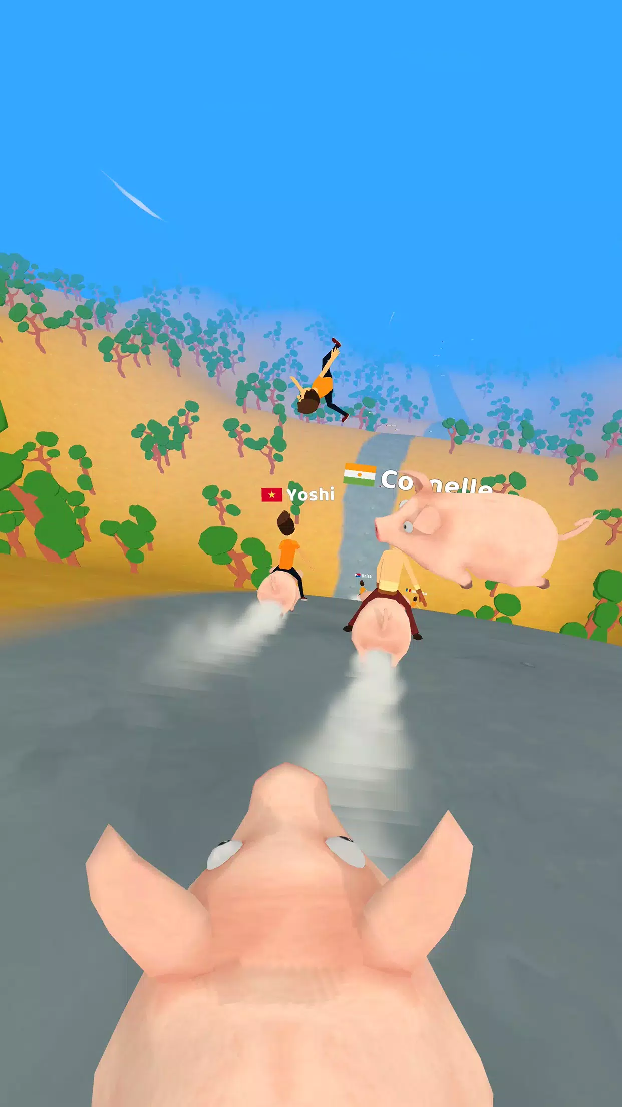 Pig Riders screenshot 1