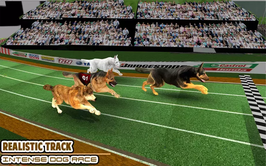 Dog racing games - dog game 3d ekran görüntüsü 1