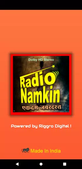 Radio Namkeen- FM Radio Online Screenshot 1