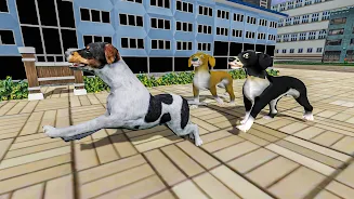 Help The Dogs screenshot 3