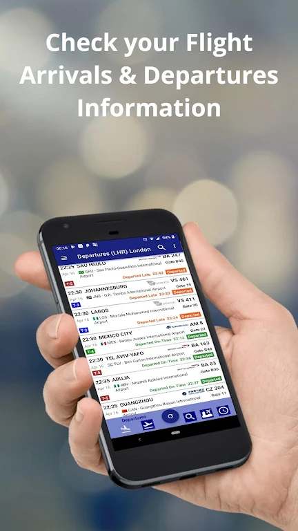 Detroit Metro Airport Flights Screenshot 1