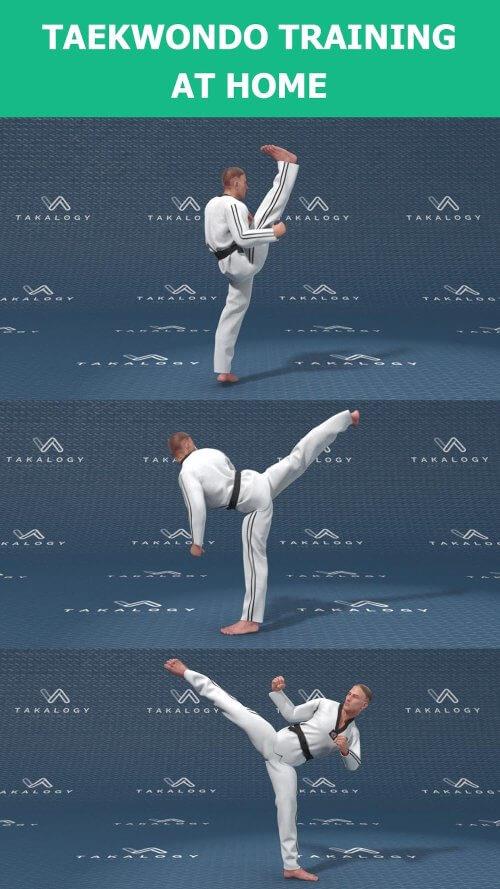 Taekwondo : Artes Marciales captura de pantalla 