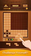 Wood Block Puzzle - Brain Game应用截图第4张