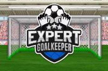 Expert goalkeeper 2022 ဖန်သားပြင်ဓာတ်ပုံ 1