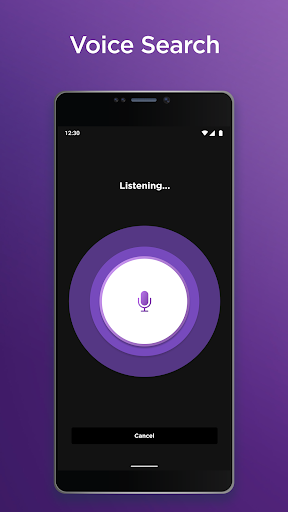 Screenshot Roku 2