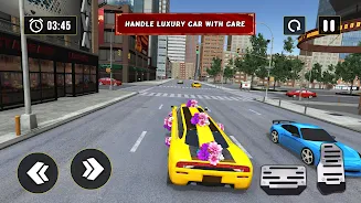 Luxury Wedding Limousine Taxi Screenshot 3