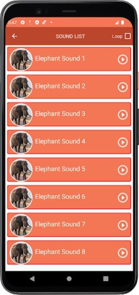 Elephant Sounds Screenshot 1