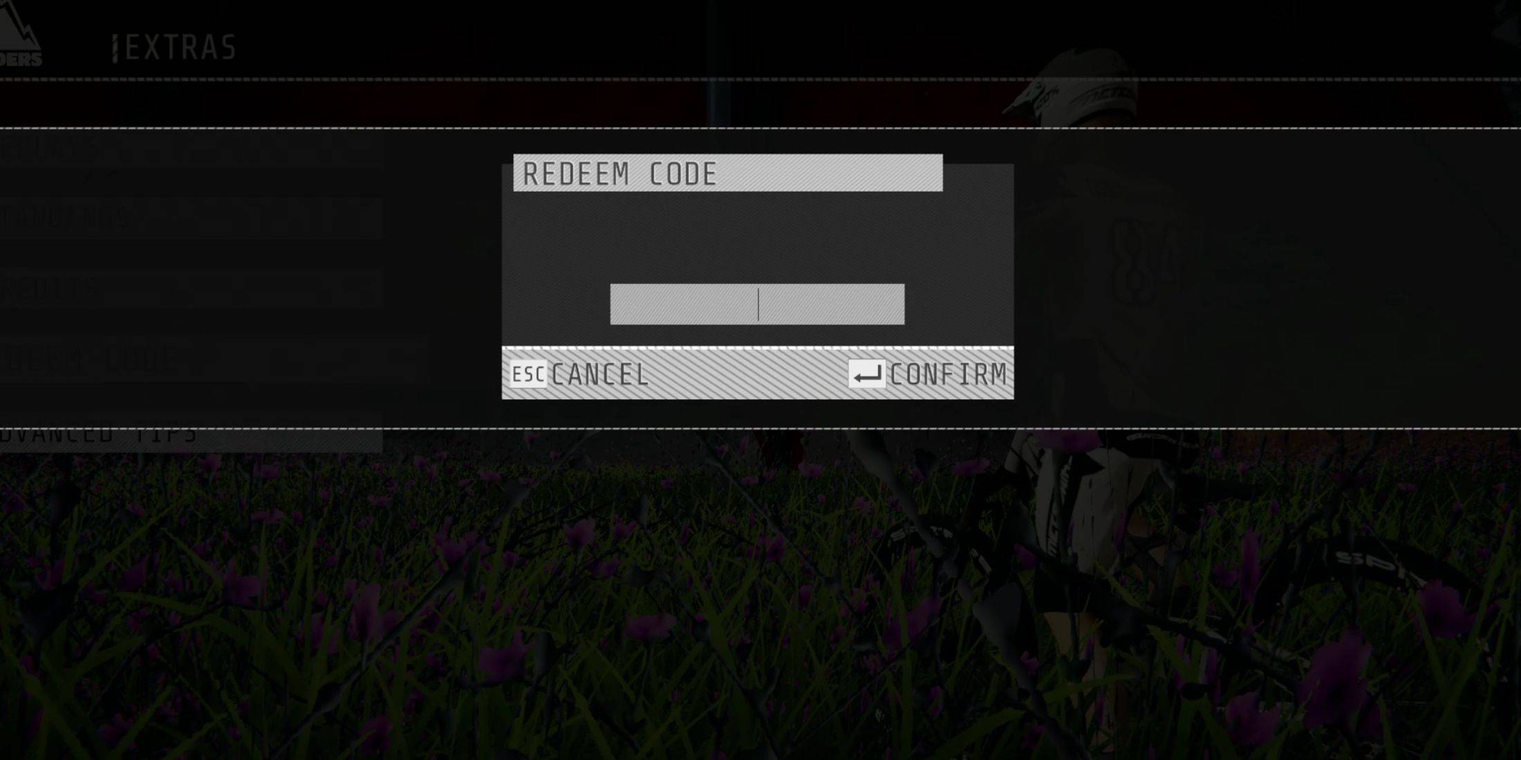 Image: Redeeming a Code in Descenders