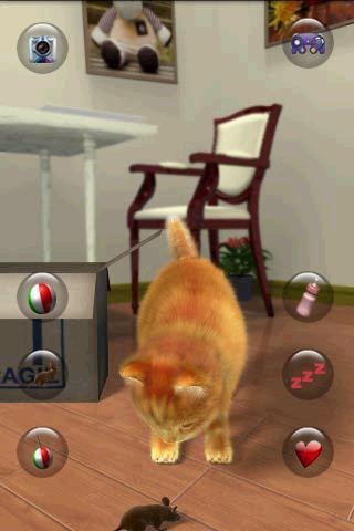 Talking Lovely Cat screenshot 3