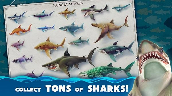 Hungry Shark World экрана 1