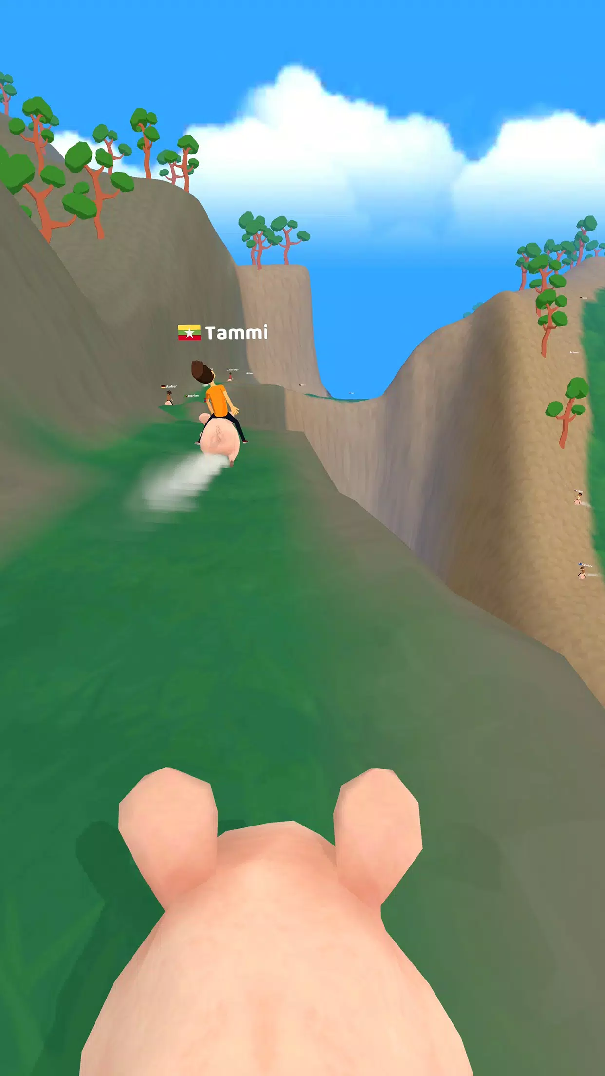 Pig Riders screenshot 4