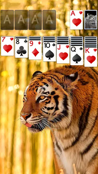 Solitaire Tiger Theme screenshot 1