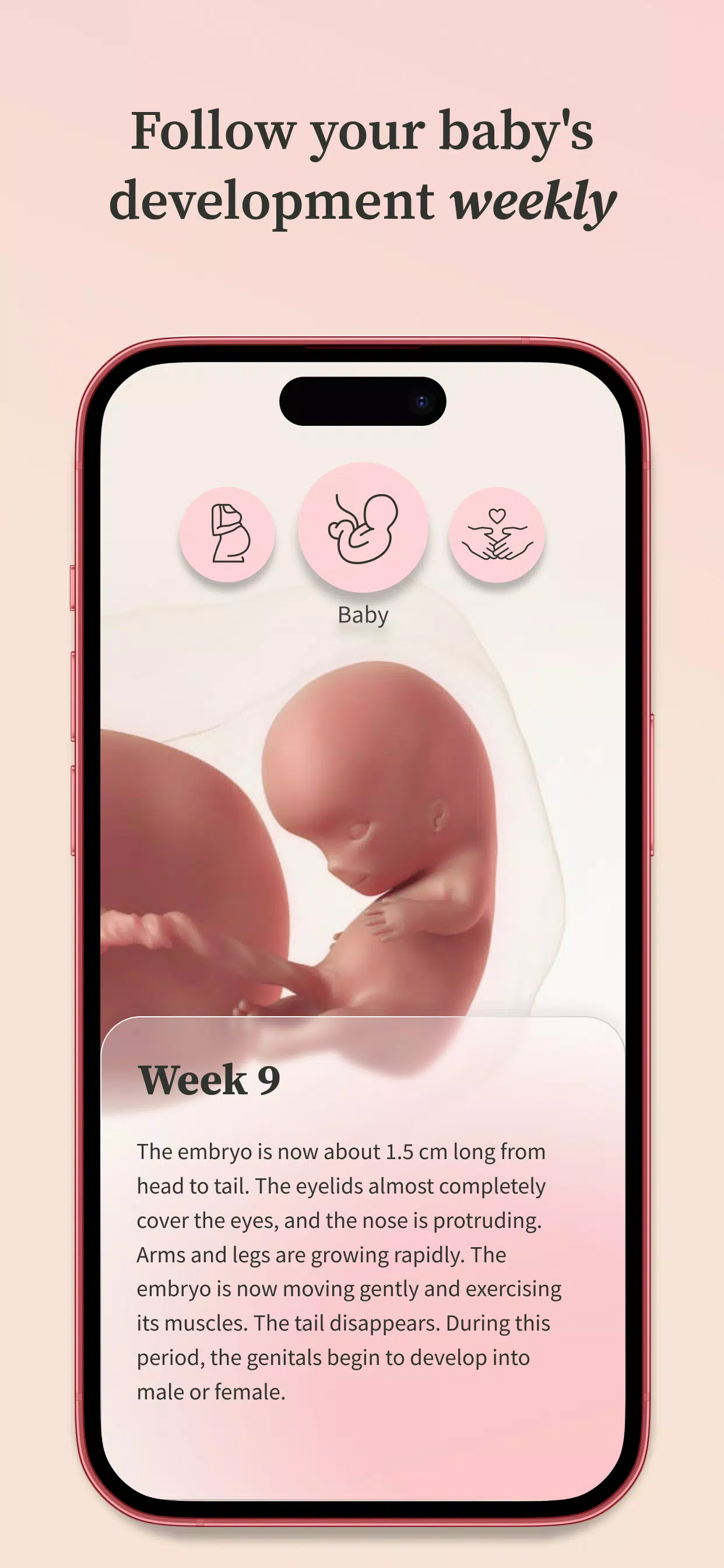 Preglife ဖန်သားပြင်ဓာတ်ပုံ 3