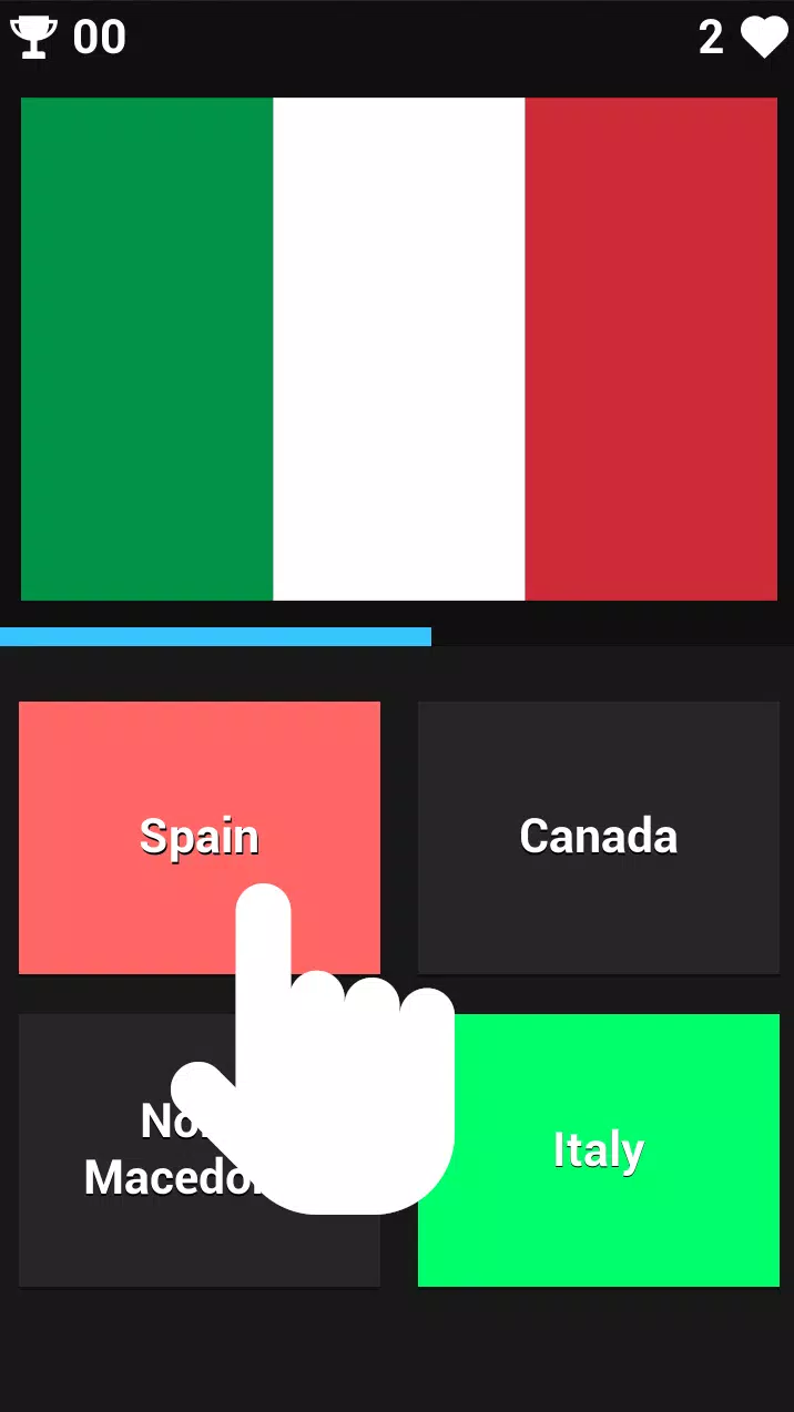 FLAG GUESSER screenshot 2