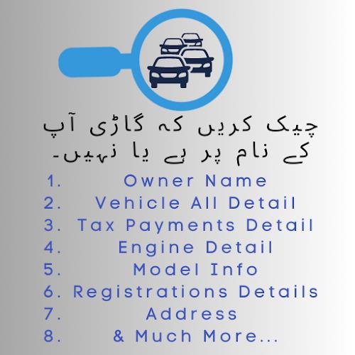 Vehicle Verification Pakistan zrzut ekranu 1