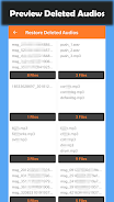 Screenshot Deleted Audio Recovery 3