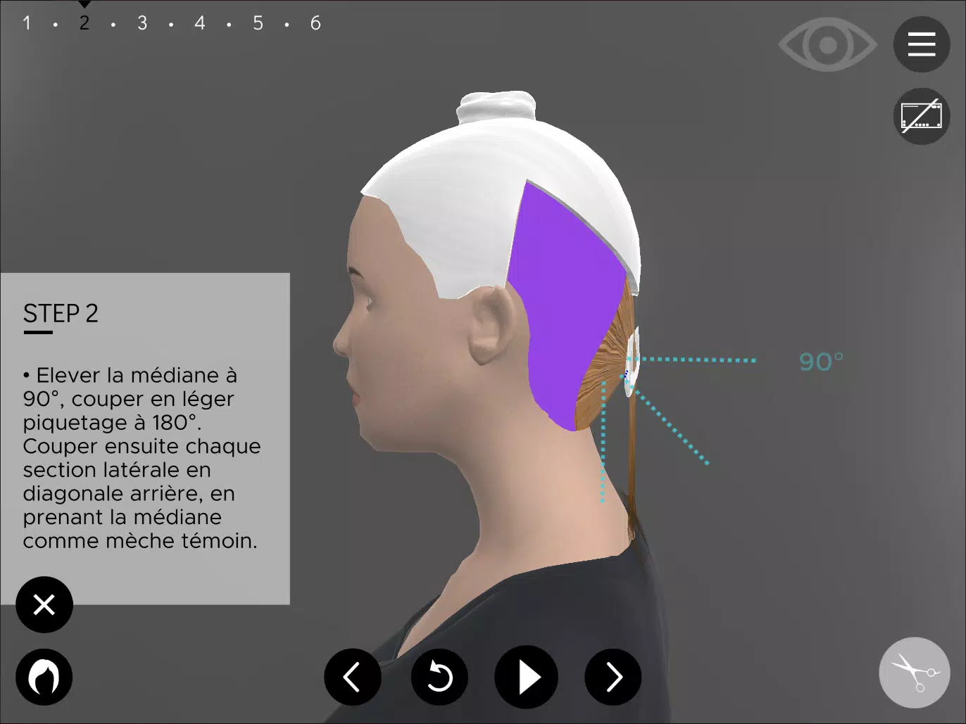 Hairteach Screenshot 3