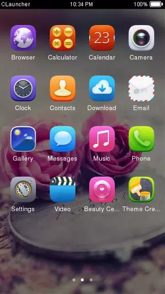 Pink Roses Theme C Launcher Screenshot 2