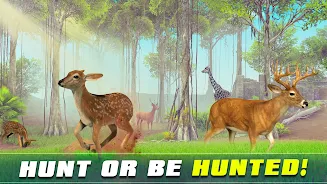 Safari Animal Hunter Simulator ဖန်သားပြင်ဓာတ်ပုံ 4