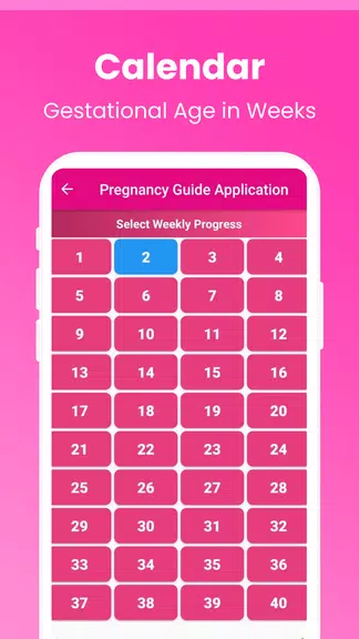 Pregnancy Guide - A Mom экрана 4