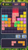 Block Jewel: Brick Puzzle Game screenshot 1