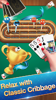 Cribbage - Card Game Screenshot 2