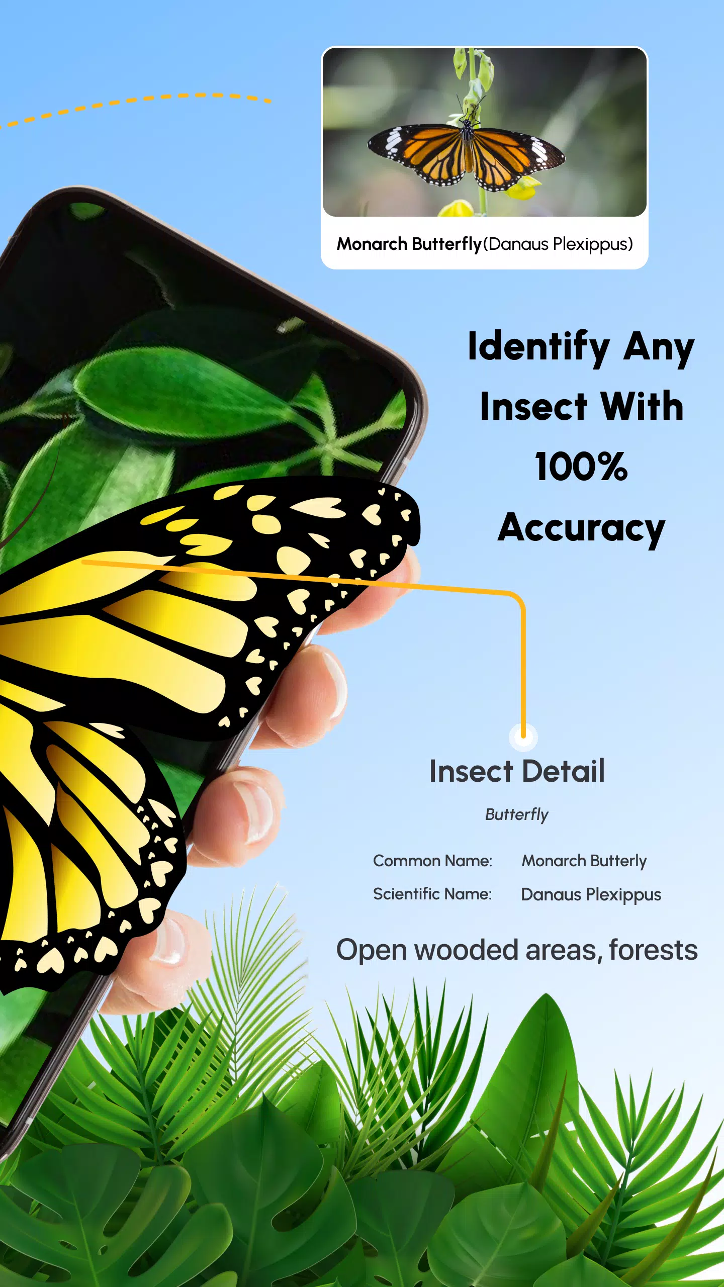 Insect Identifier Bug Identify Screenshot 2