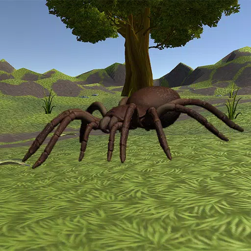 Spider Simulator