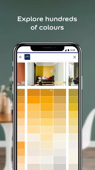 Screenshot Dulux Visualizer ZA 2