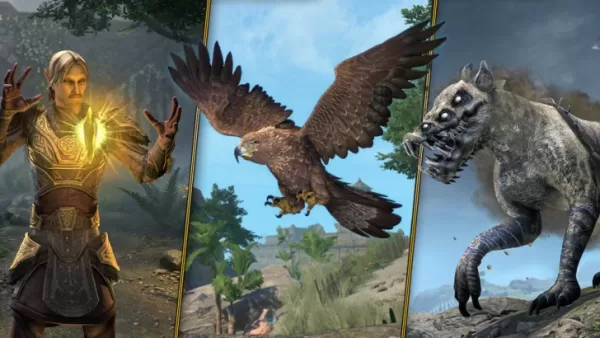 Elder Scrolls Online Subclasses Come After 11 Long Years of Fans Requesting It