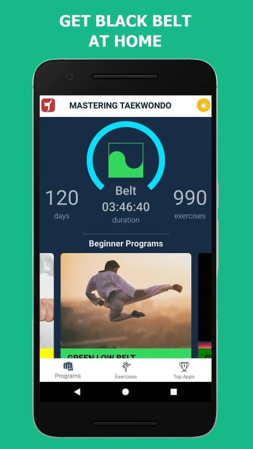 Mastering Taekwondo at Home ဖန်သားပြင်ဓာတ်ပုံ 3