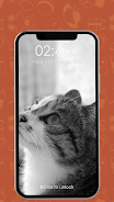 Kitty Cat Pin Lock Screen captura de pantalla 