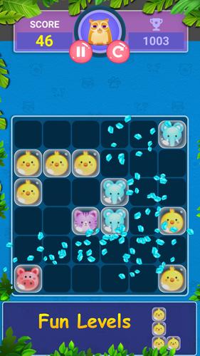Block Game Puzzle of Pet World screenshot 2