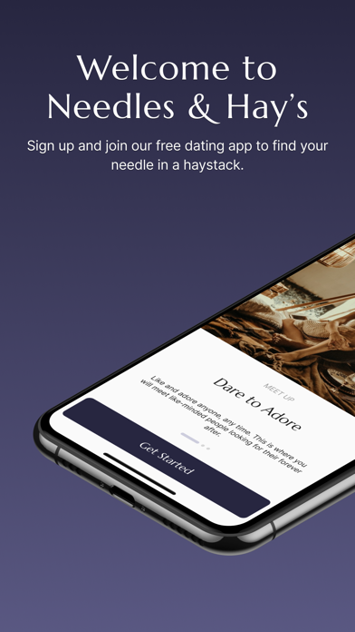 Needles and Hays Dating App ဖန်သားပြင်ဓာတ်ပုံ 1