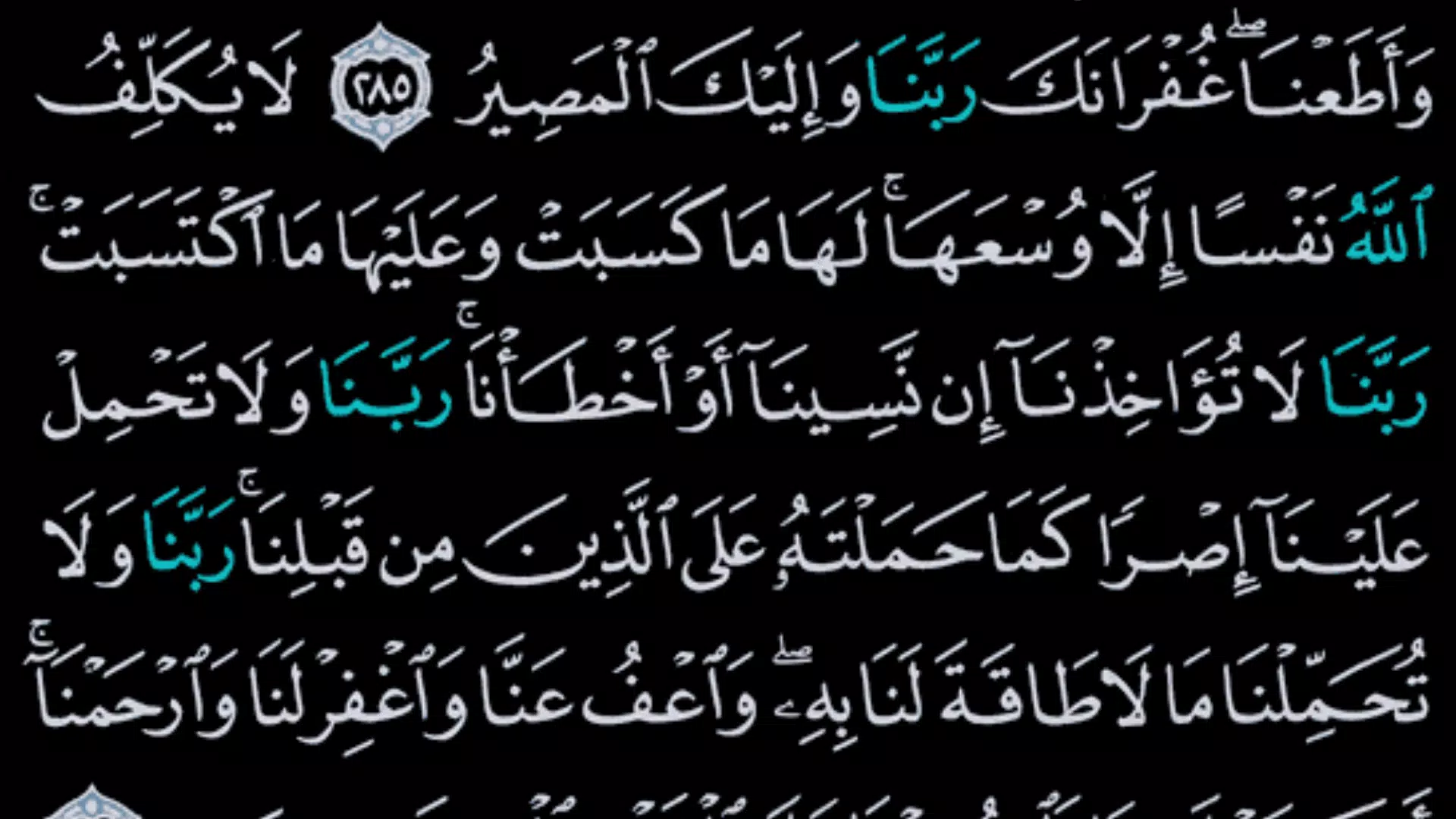 القرآن الكريم كامل بدون انترنت Screenshot 4