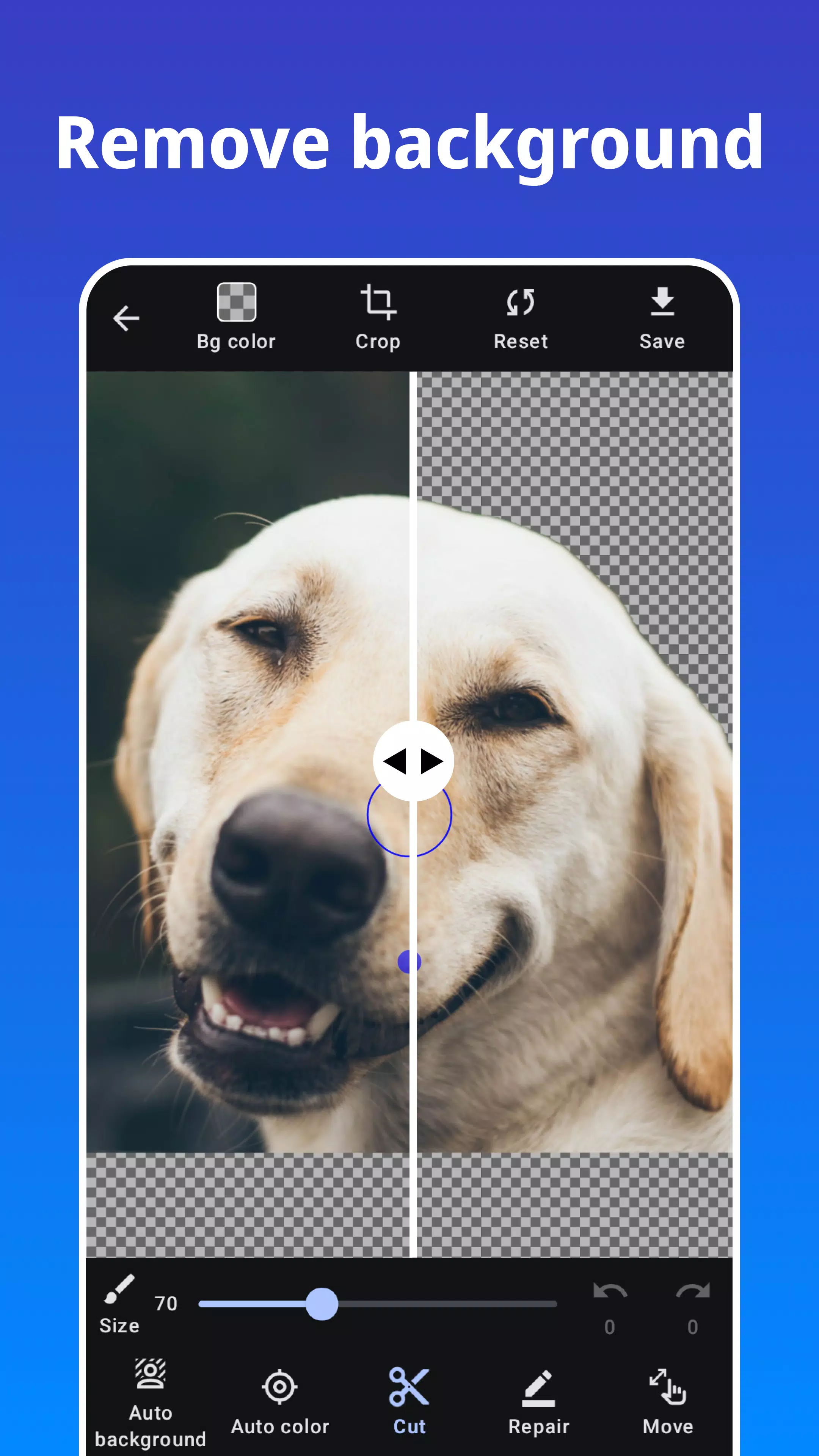 Screenshot Photo Blur 3