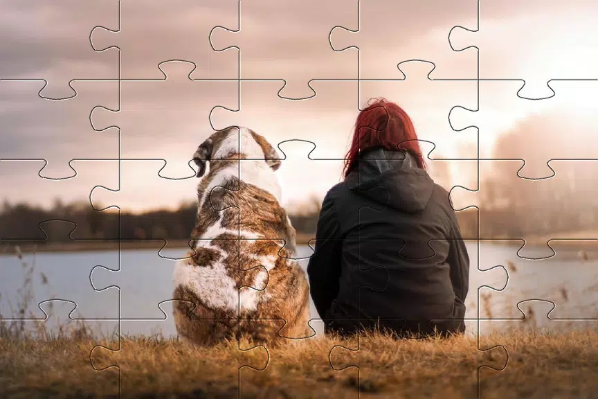 Screenshot Jigsaw puzzle without internet 4