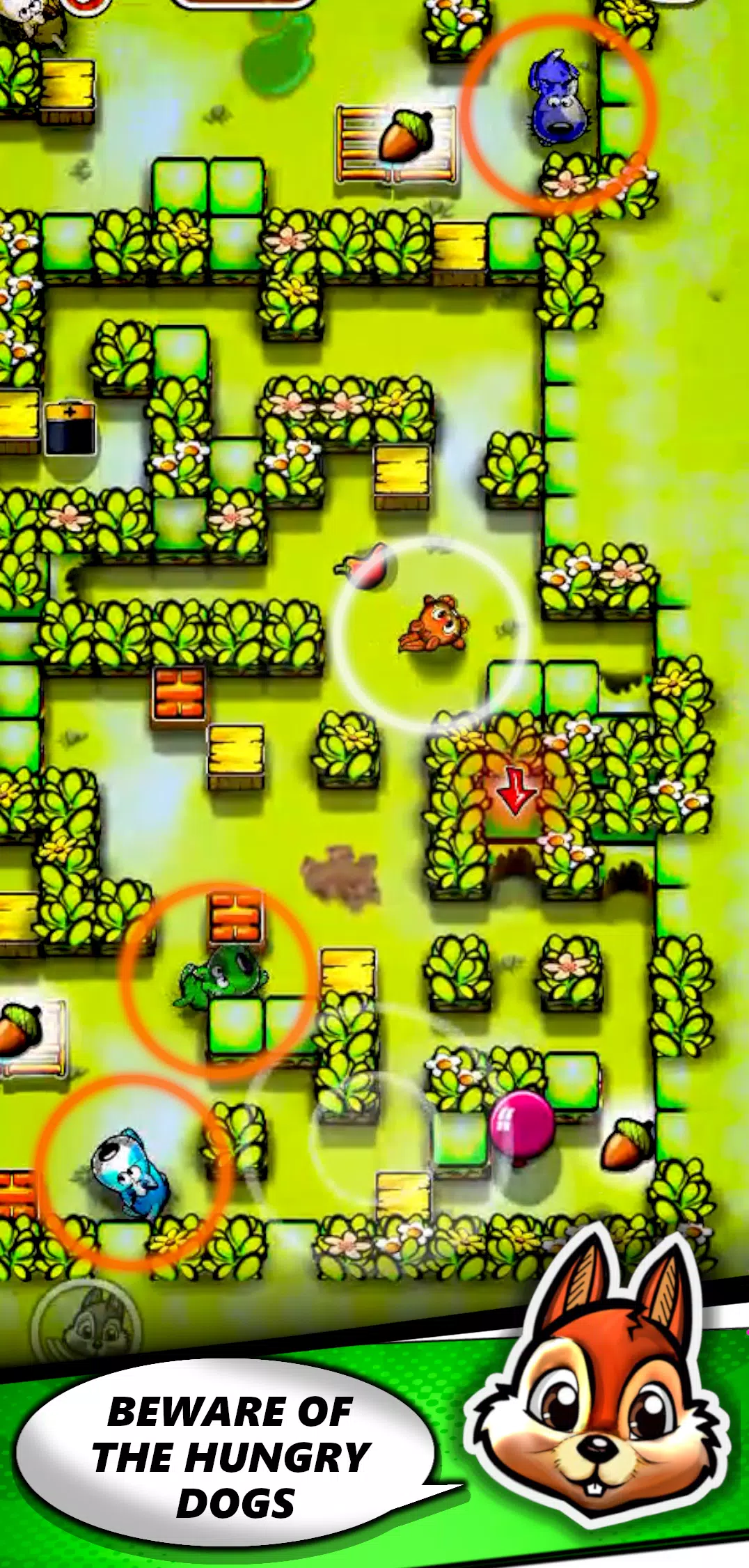 Squirrel Maze Escape screenshot 1