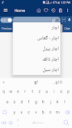 English Urdu Dictionary Captura de tela 4